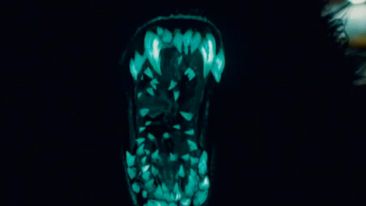 Tegoroczny Dystrykt 9? [zwiastun] 1