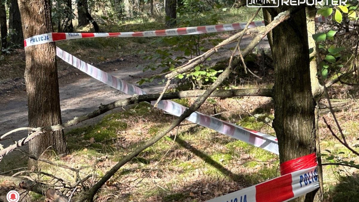 Zdjęcie z miejsca zdarzenia