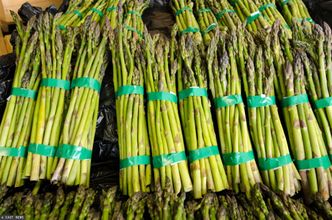 Nadeszły spodziewane kłopoty. Nie ma kto zbierać polskich szparagów