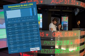 Rekomendacje giełdowe. Analitycy wskazali ponad 20 spółek niedocenianych przez inwestorów