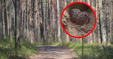 Widzisz w lesie marczaka? Lepiej odejdź powoli