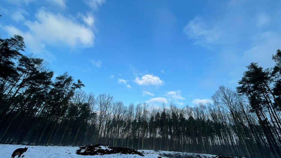 Pogoda. Wrocław. 18 lutego 2021 - początek roztopów. Od soboty wiosenna aura