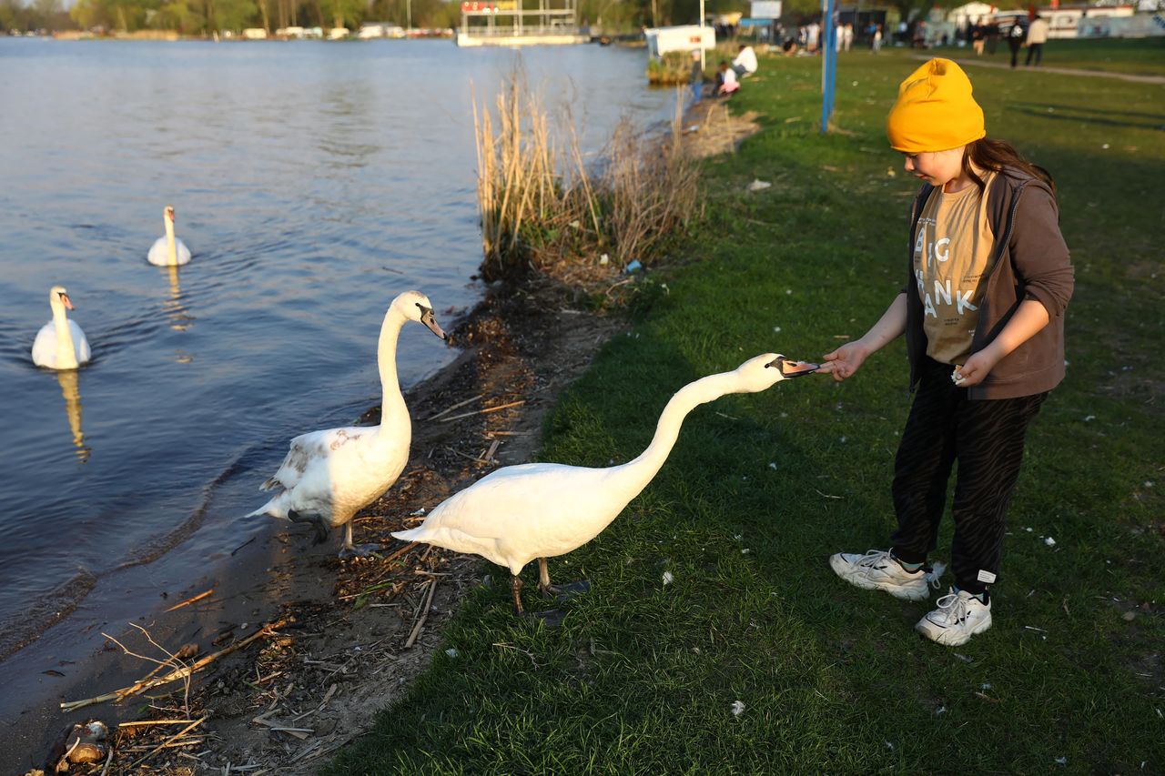 Pogoda. Ochłodzenie popsuje weekend. Nowa prognoza