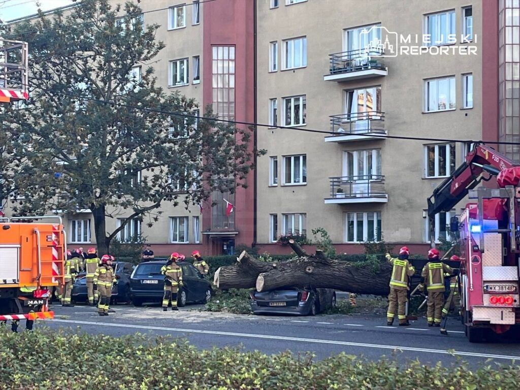 Warszawa: Drzewo przewróciło się na trakcję tramwajową i samochody.