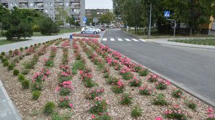 Zakończyła się rewitalizacja Osiedla Poręby w Stalowej Woli. Są nowe drogi, parkingi i zieleń