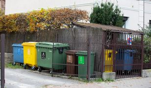 Co piąty Polak wyrzuca do śmieci ogólnych. Grozi im 5 tys. zł kary