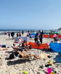 Niedziela handlowa 26 czerwca. Oto czym kuszą dyskonty na początek wakacji