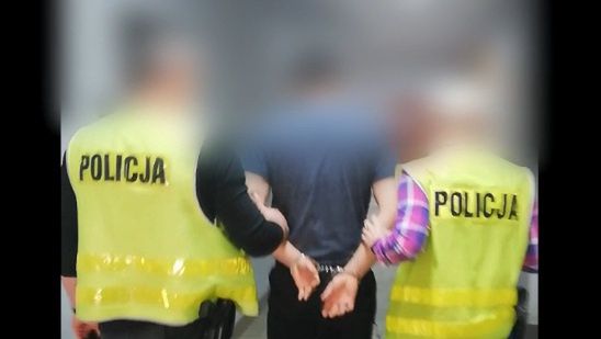 Mężczyzna, podejrzany o kradzież luksusowego auta, został zatrzymany w areszcie