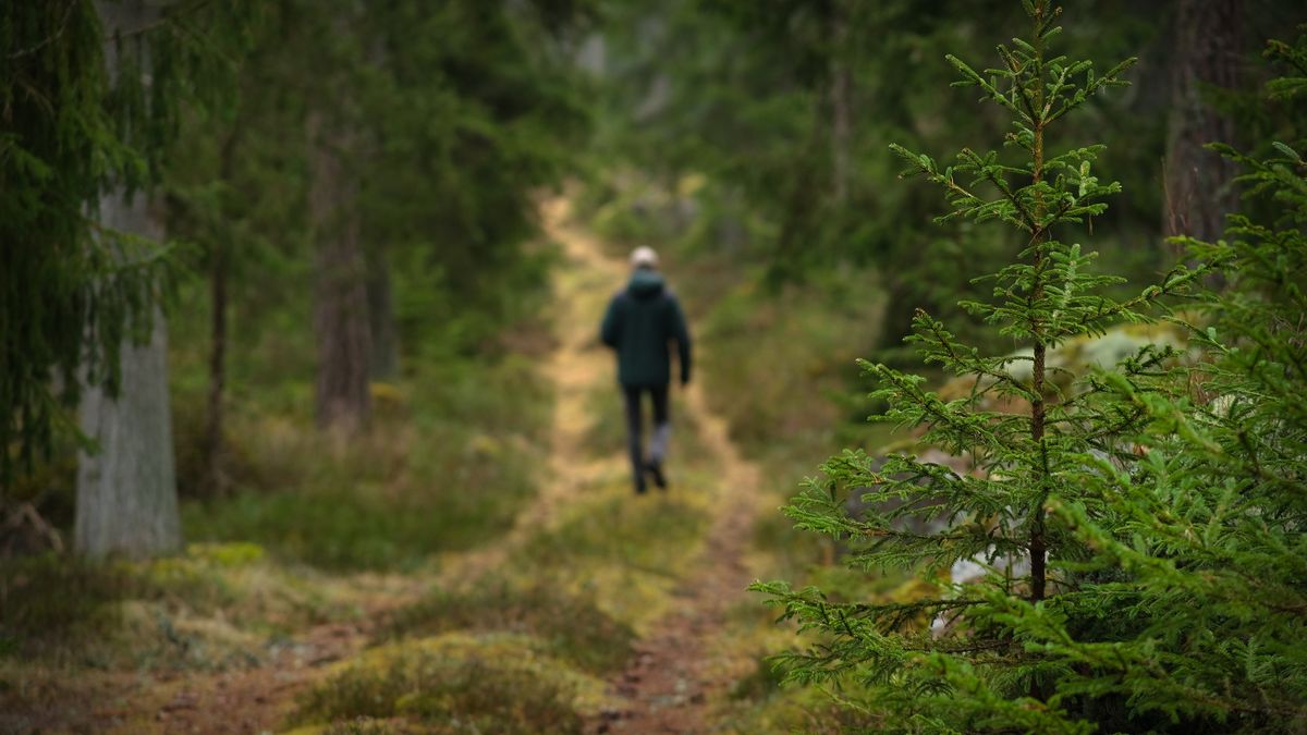 Mroczne symbole w północnej Skandynawii