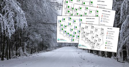 Taka będzie wiosna. Synoptycy IMGW pokazali mapy, są prognozy
