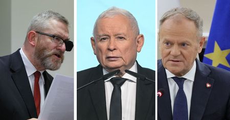 Najnowszy sondaż. Koalicja Obywatelska na czele, duży wzrost Brauna