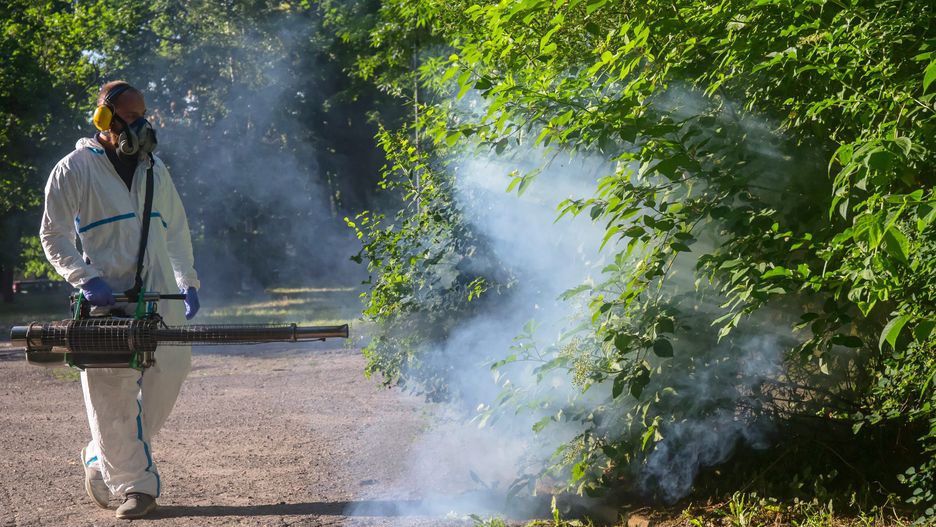 Warszawa. W tym roku nie będzie odkomarzania
