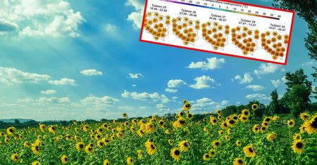 Nowa prognoza na lato. Synoptycy pokazali mapy