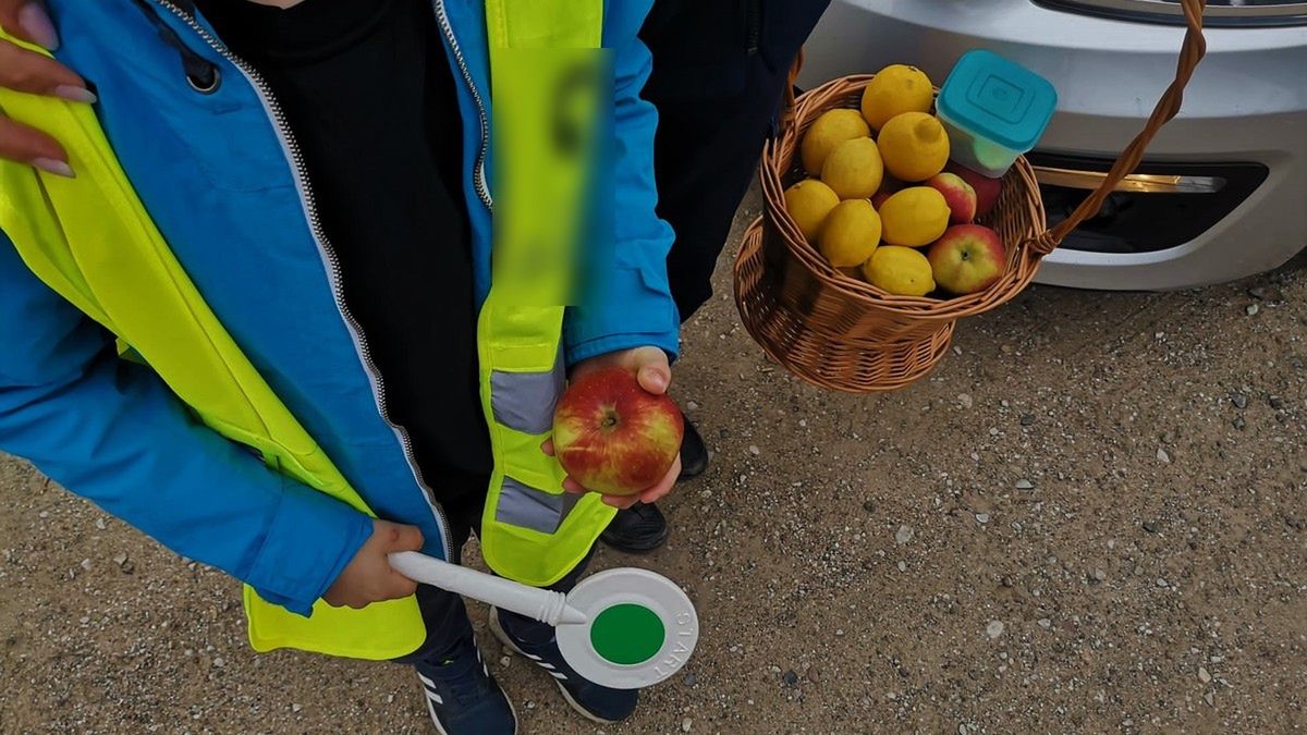 To kolejna akcja policji z cytrynami