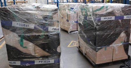 Wielki przemyt lotniczy udaremniony! Co chcieli przewieźć przestępcy?