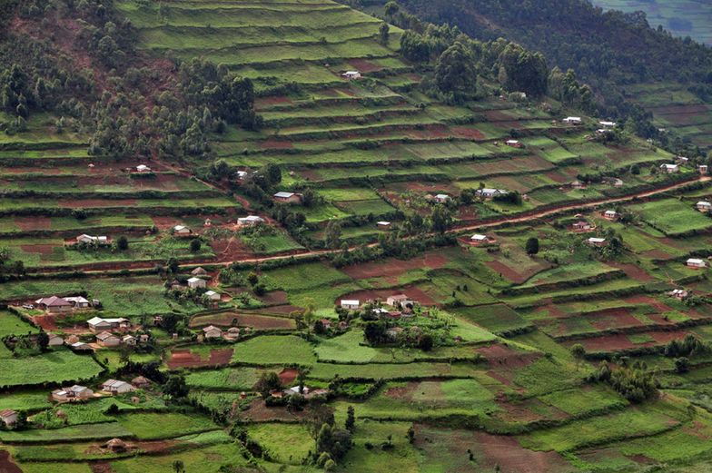 Afrykańska konkurencja dla Europy rośnie w siłę. Uganda wychodzi na prostą