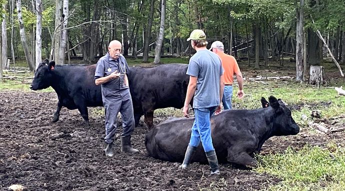 Niezwykły dr Pol