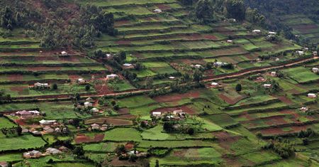 Afrykańska konkurencja dla Europy rośnie w siłę. Uganda wychodzi na prostą