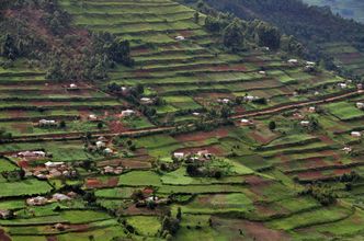 Afrykańska konkurencja dla Europy rośnie w siłę. Uganda wychodzi na prostą