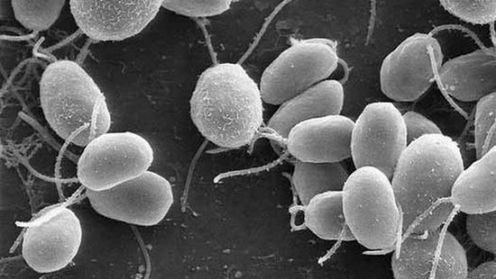 Szokujący sposób na wytwarzanie prądu 1