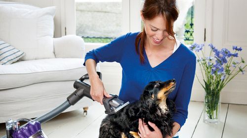 Jak odkurzyć psa? Dyson poleca nakładkę Groom 1