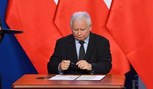 Europosłowie wrócą do gry? Poznaliśmy dwie koncepcje list PiS