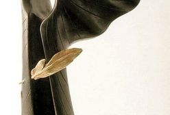 Ogłoszono nominacje do Literackiej Nagrody Nike