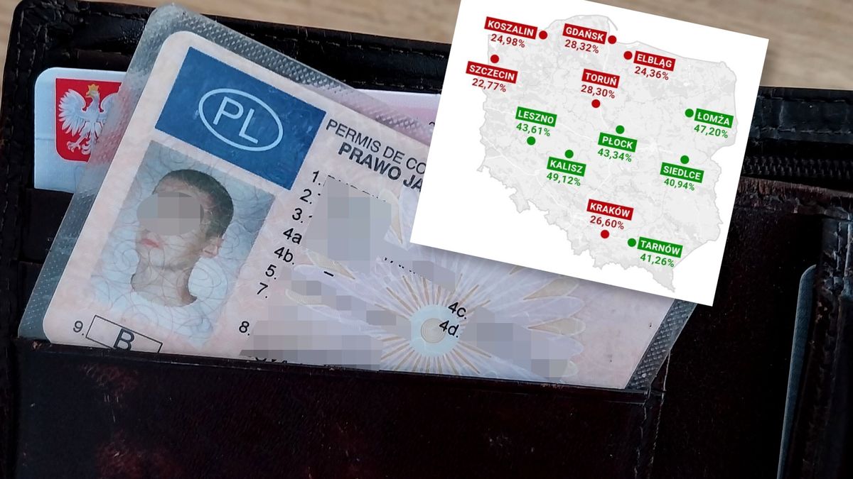 Prawo jazdy w portfelu to dopiero początek drogi