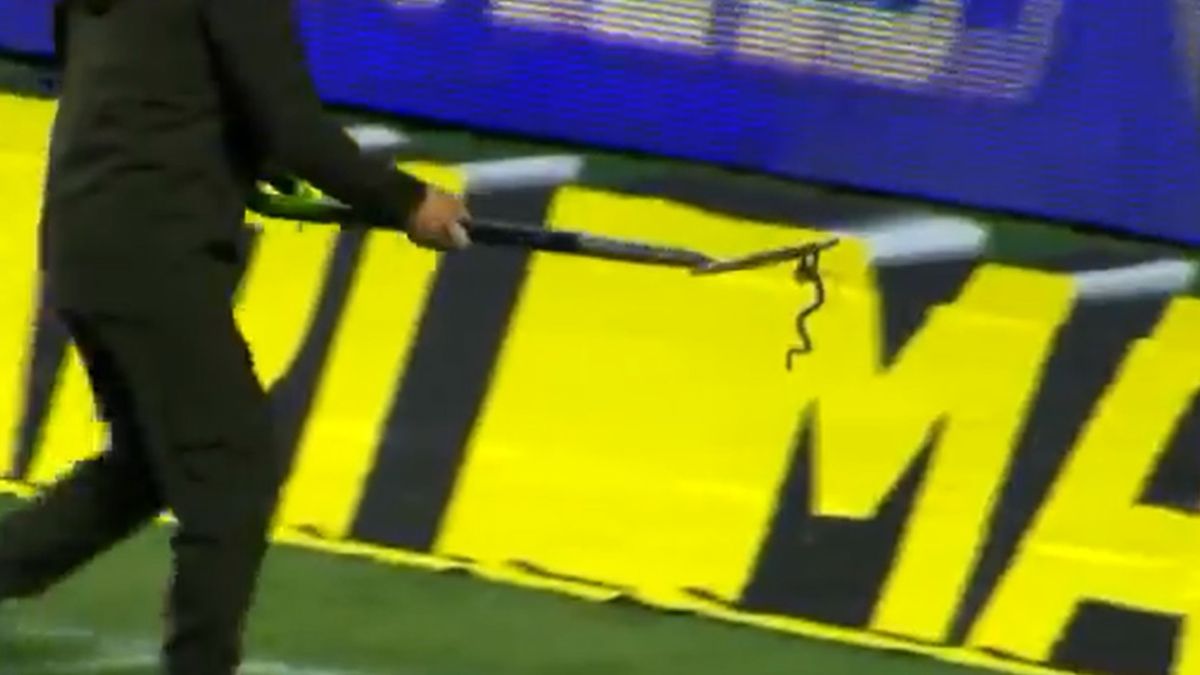 wąż wynoszony z boiska podczas meczu Achmat Grozny - PFK Soczi