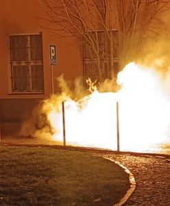 Podpalili auto. Okazało się, że to nieoznakowany radiowóz