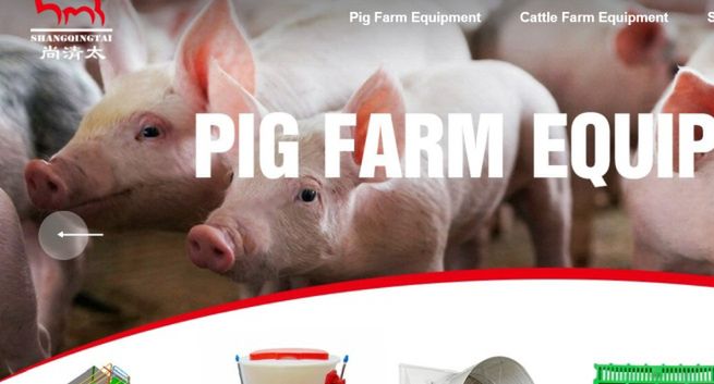 Chińska firma z logo Banku Pekao SA. „Podjęliśmy odpowiednie działania”