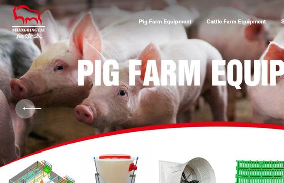 Chińska firma z logo Banku Pekao SA. „Podjęliśmy odpowiednie działania”