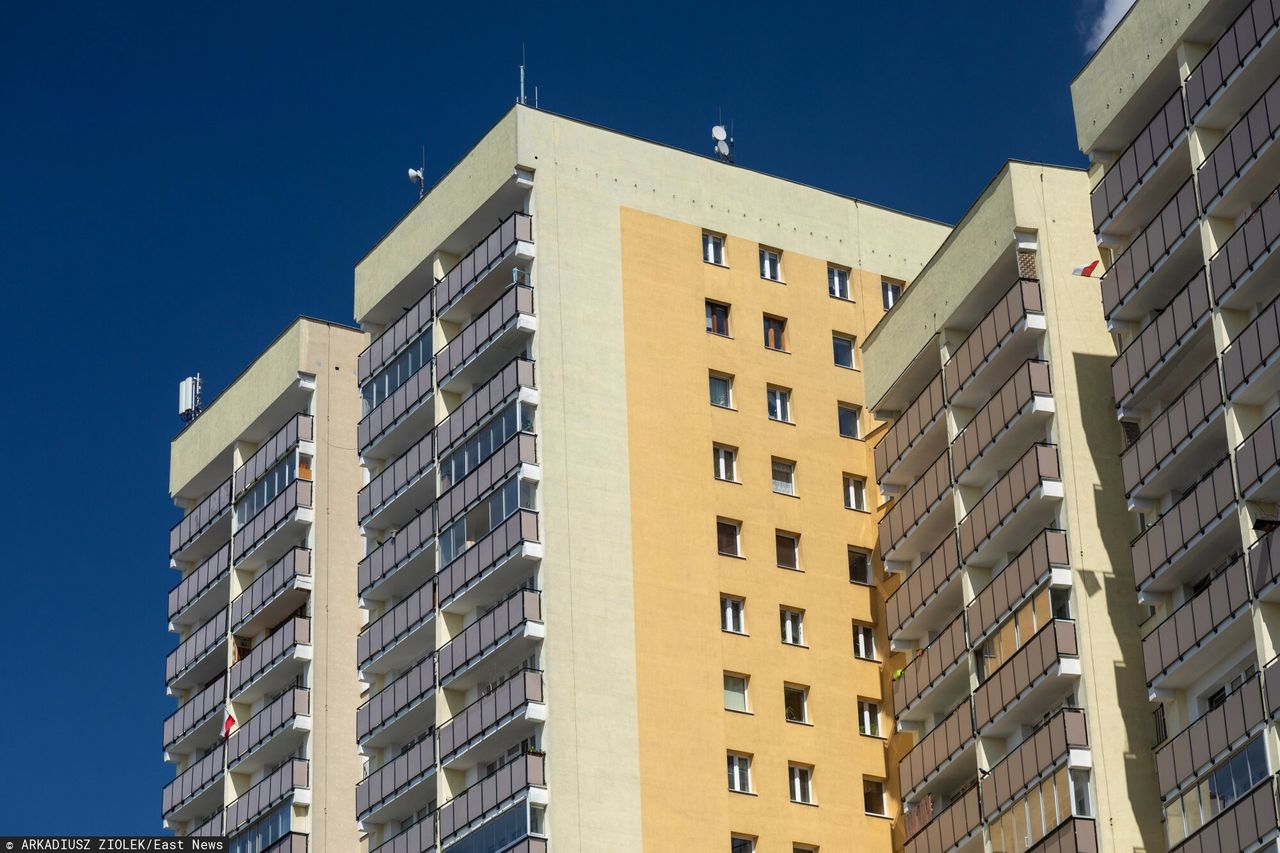 Malutkie dzieci same w domu. "Stały na parapecie"