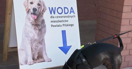 Woda dla czworonoga