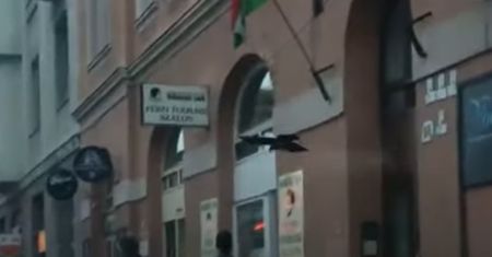 Atakują ludzi. Szczególnie niebezpieczne będą teraz