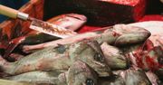 Restauracje, w których stracisz apetyt