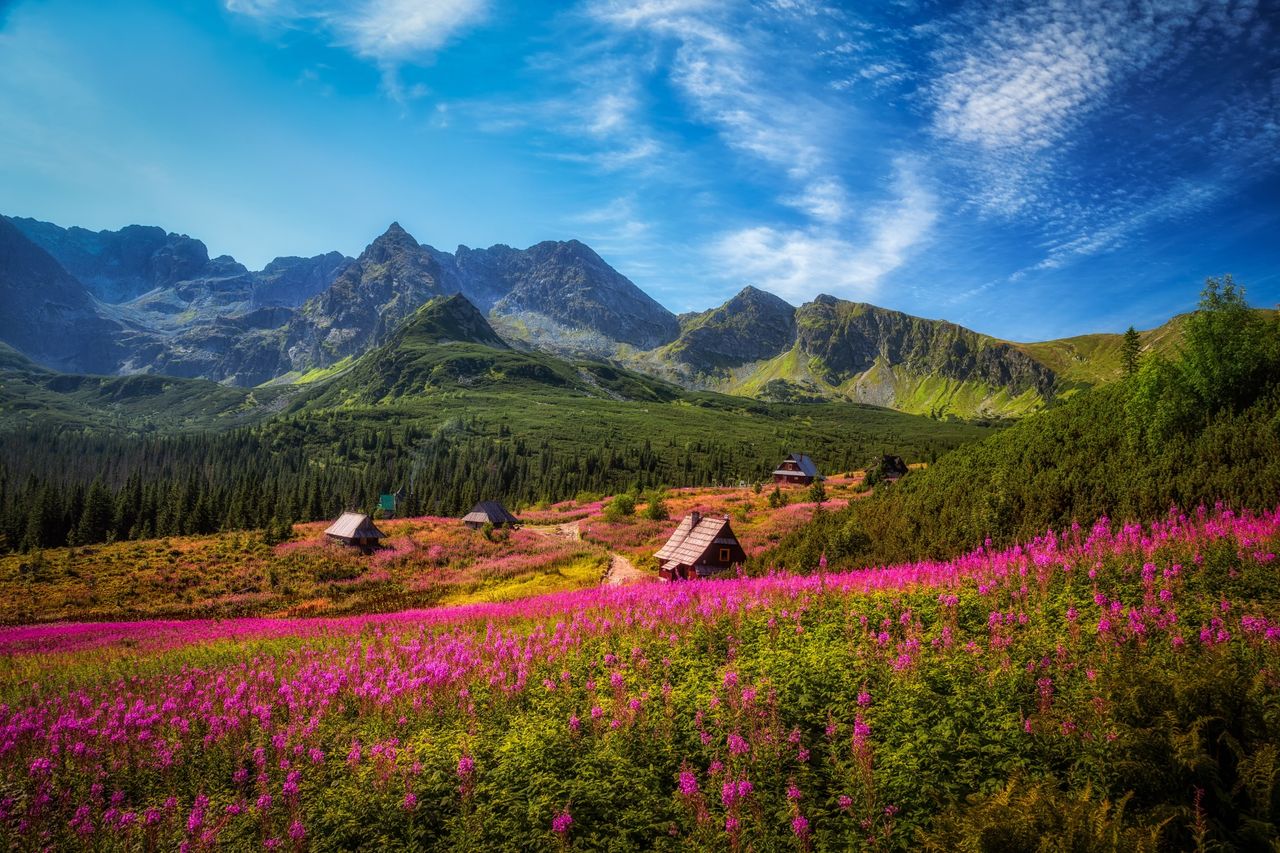 Tatry. Hala Gąsienicowa zachwyca widokiem