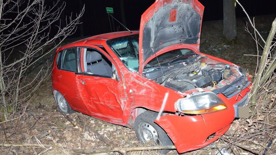  Stracił panowanie nad samochodem i uderzył w drzewo.