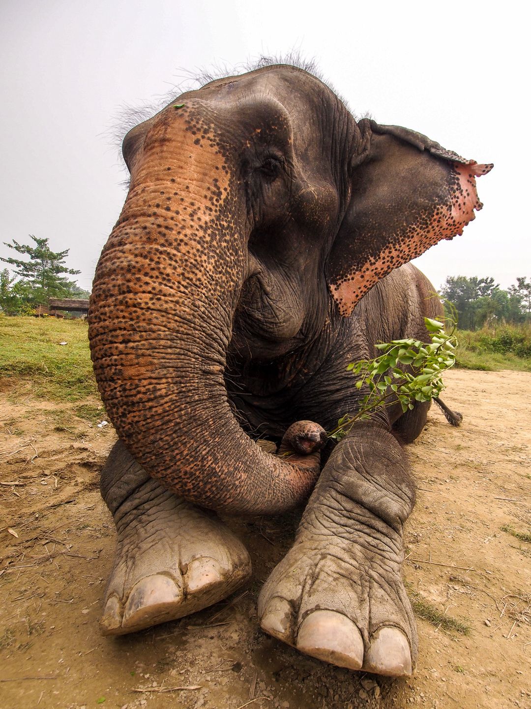 Fotografowanie w Nepalu, czyli jak przygotować się do wyprawy w Himalaje [poradnik] 5
