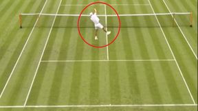 Hurkacz pokazał to, przed czym przestrzegał Djoković [WIDEO]