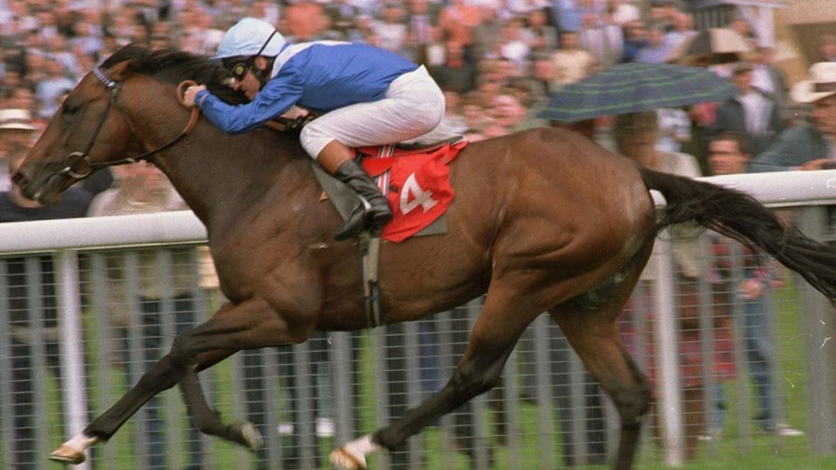 Na zdjęciu: Royal Applause