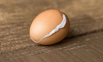 Wrzuć dwa plasterki do garnka. Skorupka sama się ześlizgnie z jajka