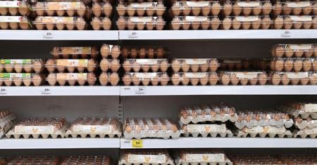 Wyniki kontroli jakości handlowej jaj. Wiele nieprawidłowości