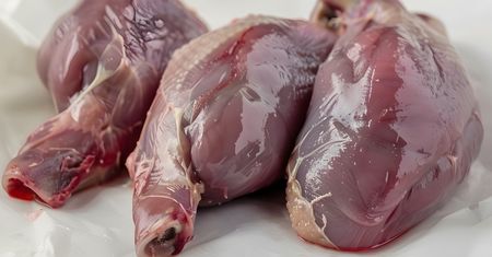 Wyjątkowo delikatne i soczyste mięso. Kiedyś tylko na królewskich stołach, dziś całkiem zapomniane