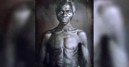 Harvard pozwany za czerpanie korzyści ze zdjęć niewolników z 1850 roku