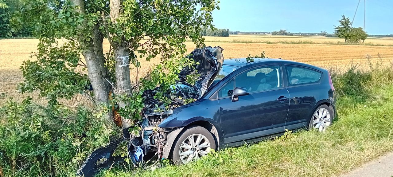 Kolizja z sarną spowodowało, że kierowca uderzył w drzewo!