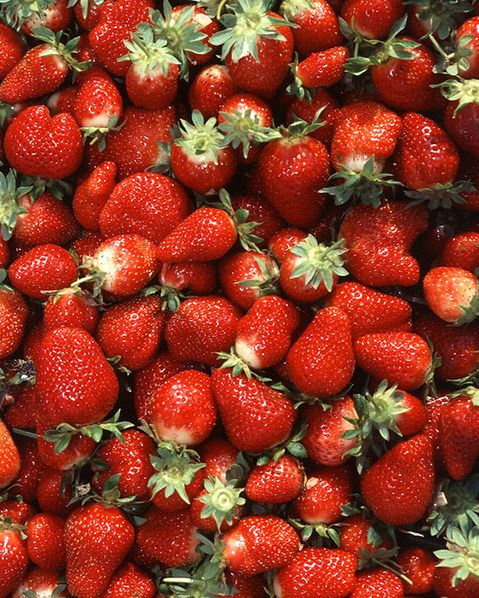 Rolnictwo w Polsce. Na promocję owoców jagodowych pójdzie prawie 4 mln euro