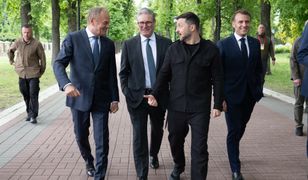 "Gotowość do współpracy". Deklaracja Tuska ws. planu dla Ukrainy