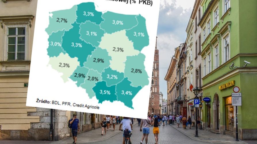 Te województwa dostały najwięcej w ramach tarczy. Co to znaczy dla rynku pracy? 