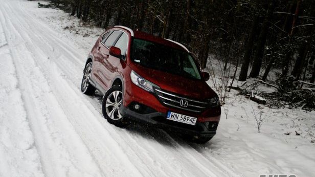 Zdjęcie ilustracyjne do artykułu